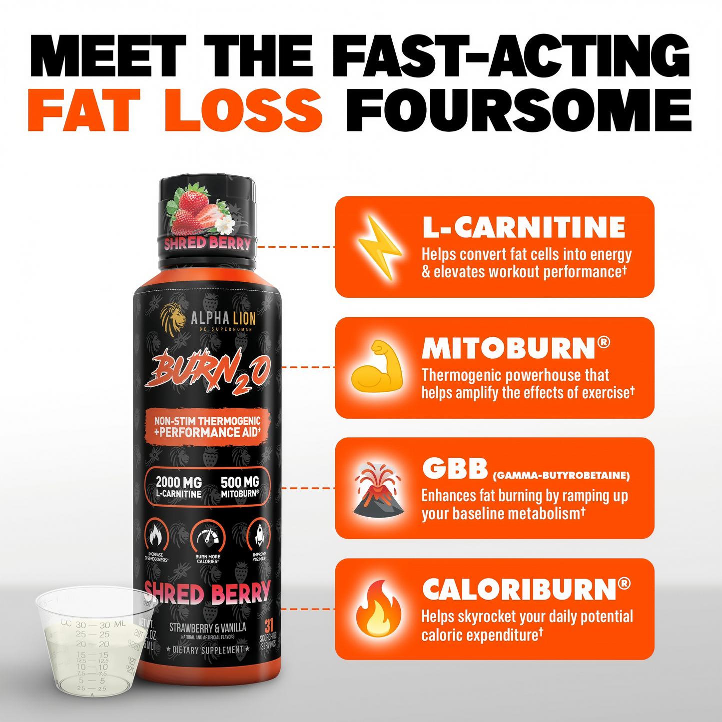 ALPHA LION Burn2O L-Carnitine Liquid 2000mg