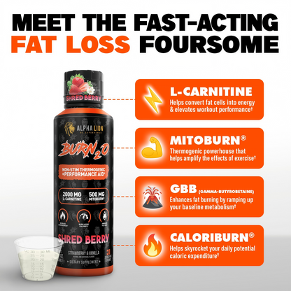 ALPHA LION Burn2O L-Carnitine Liquid 2000mg