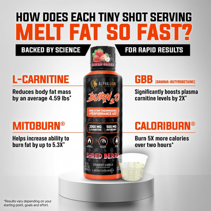 ALPHA LION Burn2O L-Carnitine Liquid 2000mg